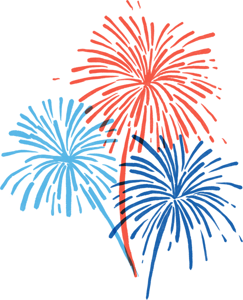 Hand Painted 4th of July Fireworks 